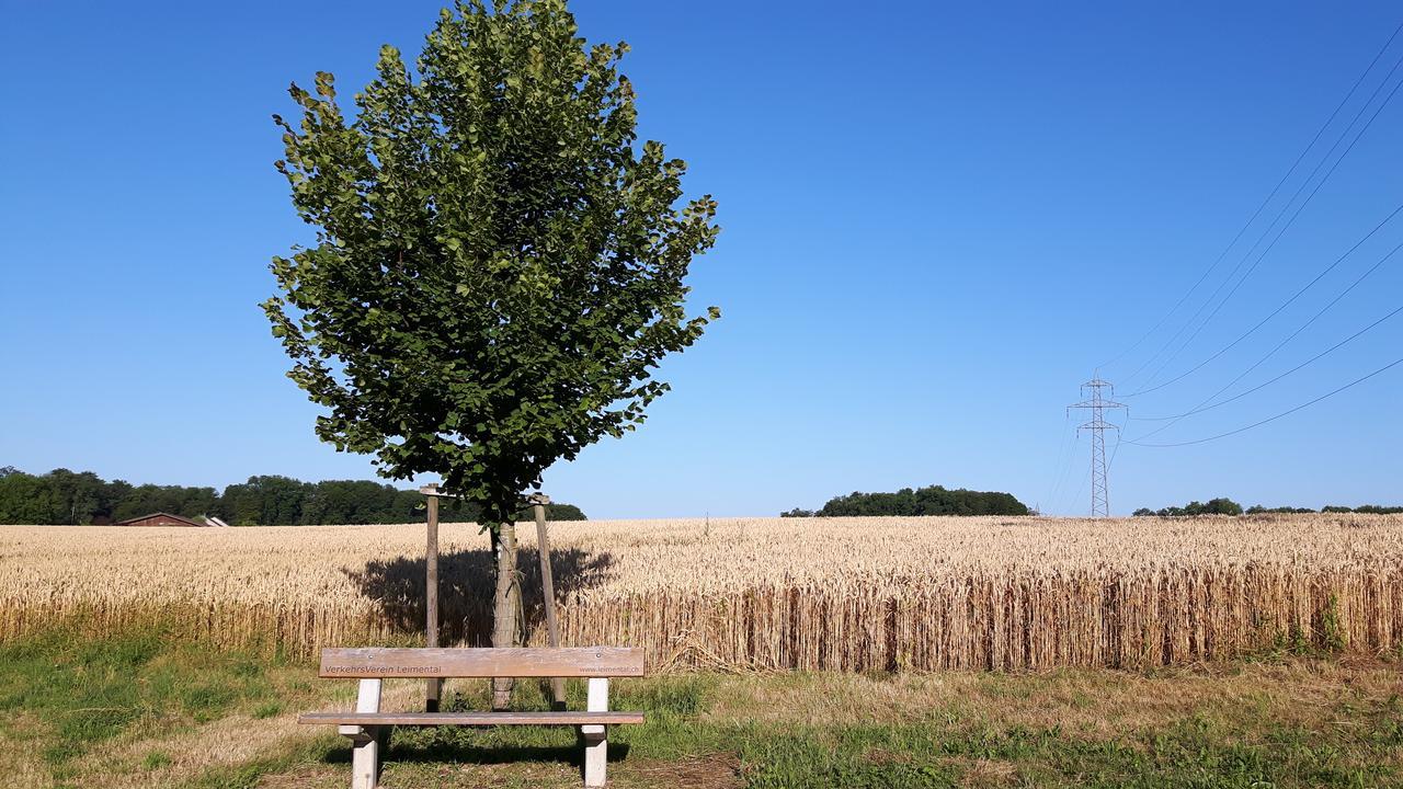مبيت وإفطار Mybednbreakfast In Bottmingen المظهر الخارجي الصورة