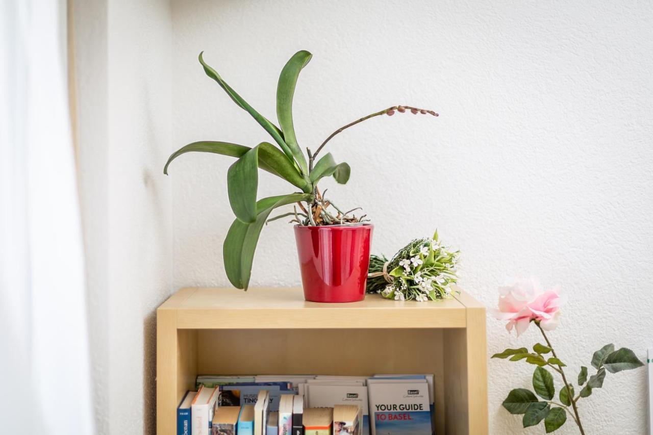 مبيت وإفطار Mybednbreakfast In Bottmingen المظهر الخارجي الصورة