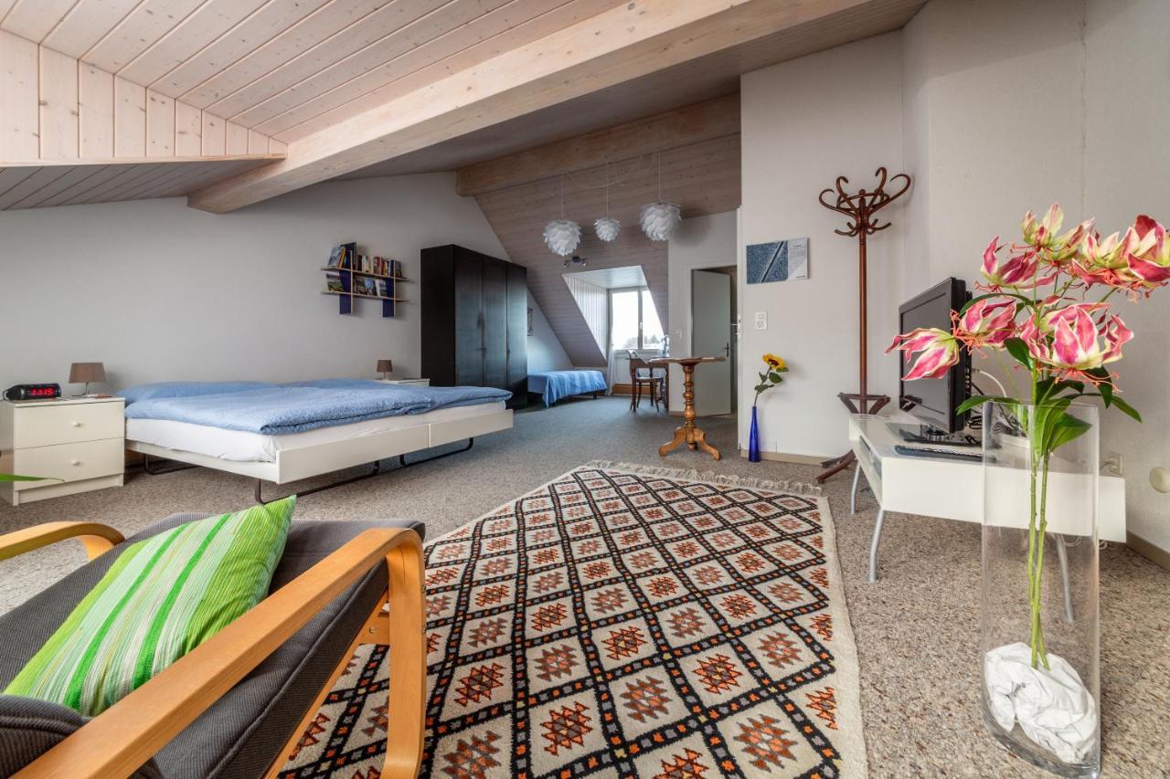 مبيت وإفطار Mybednbreakfast In Bottmingen المظهر الخارجي الصورة