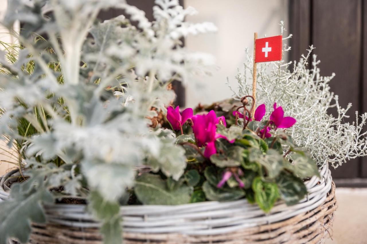مبيت وإفطار Mybednbreakfast In Bottmingen المظهر الخارجي الصورة