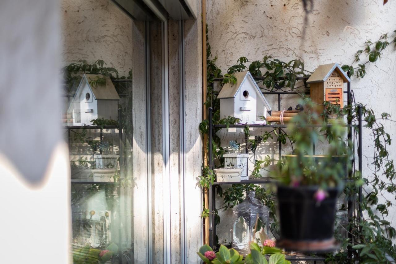 مبيت وإفطار Mybednbreakfast In Bottmingen المظهر الخارجي الصورة